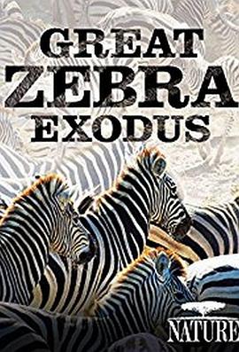 Great Zebra Exodus